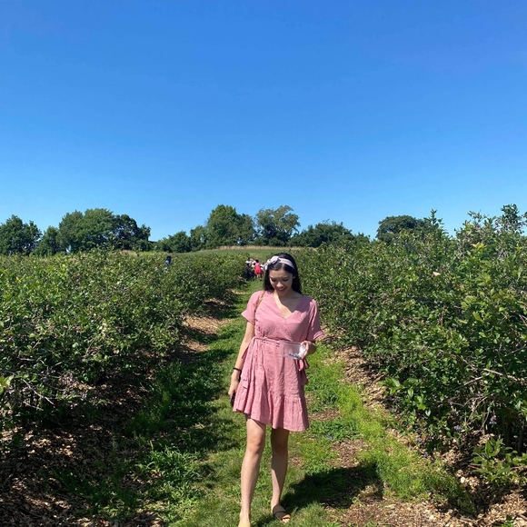 Pink Ruffle Dress - Picture 4 of 4